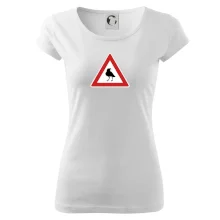 Dopravná značka - Pozor havran