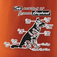Nemecký ovčiak - Anatómia