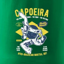 Capoeira  Afro-brazil art Capoeira  Afro-brazil art