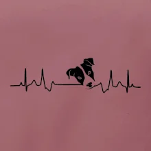 Jack Russell Terriér Ekg