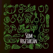 Som vegetarián - zelenina vo štvorci