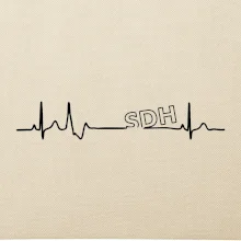 SDH EKG