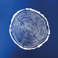 Letokruhy 40 bez veku