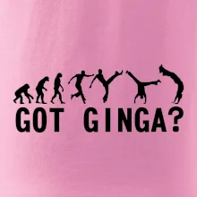 Capoeira - Got Ginga