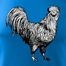 Kohút kreslený čiernobiely