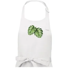 Monstera - dva listy Monstera - dva listy