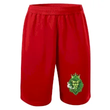 Zhulený lev zelený