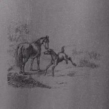 Kôň a žriebä maľované