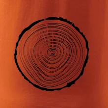 Letokruhy 20 bez veku