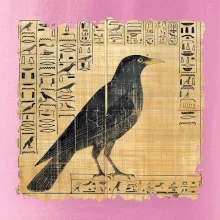 Egyptské hieroglyfy vták