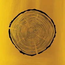 Letokruhy 95 bez veku Letokruhy 95 bez veku