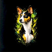 Obrázok poltón Basenji hlava