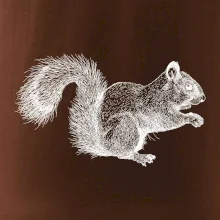 Veverička kresba