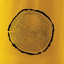 Letokruhy 45 bez veku