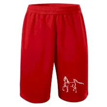 Kôň silueta Kôň silueta