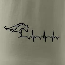 Hlava koňa EKG