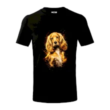 Obrázok poltón Anglický kokeršpaniel