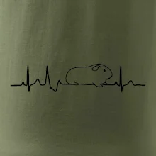 EKG morča EKG morča