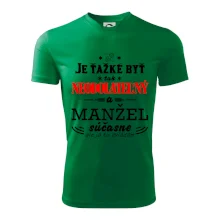 Neodolateľný manžel Neodolateľný manžel