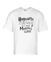 Harry - Hogwarts wasn’t hiring, so I teach Muggles instead