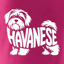 Havanese nápis v tele