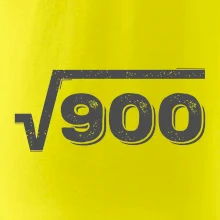 Narodeniny odmocniny 30