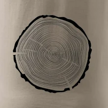 Letokruhy 45 bez veku