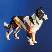 Border kólia zlepená z papiera