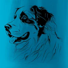 Bernský salašnícky pes čierna kresba