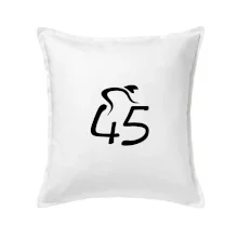 Cyklista oslavuje štyridsaťpäťku (45)