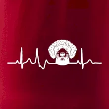 Lagotto romagnolo hlava EKG