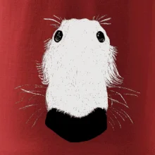 Barzoj čumák (Moňas)