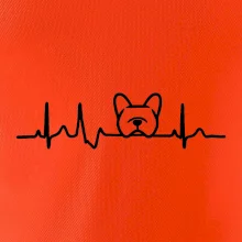 EKG Francúzsky buldoček hlava EKG Francúzsky buldoček hlava