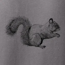 Veverička kresba