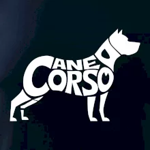 Cane corso nápis v tele