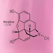 Molekulárna štruktúra Morfín
