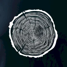 Letokruhy 70 bez veku