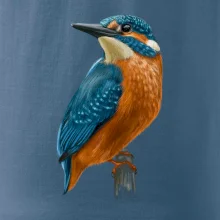 Ľadnáčik kreslený