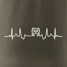 Shih-tzu ekg hlava