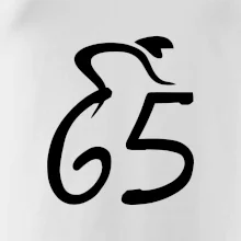 Cyklista oslavuje šesťdesiatpäťku (65)