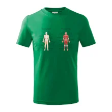 Skelet and Moscular system