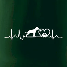 Nemecký boxer EKG Nemecký boxer EKG