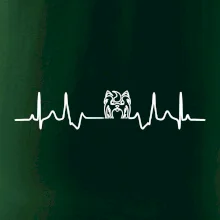 Shih-tzu ekg hlava Shih-tzu ekg hlava