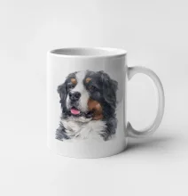 Bernský salašnícky pes -  hlava vodová farba