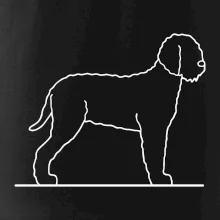 Lagotto romagnolo stojaci