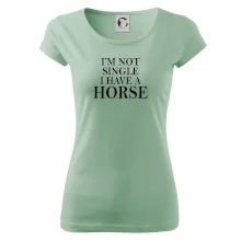 I have a horse I have a horse