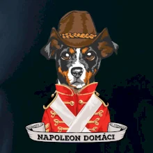 Napoleon domáci kríženec