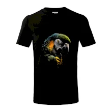 Papagáj fotka Papagáj fotka