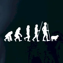 Evolúcia pastier oviec