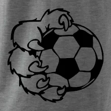 Medvedia laba futbal Medvedia laba futbal